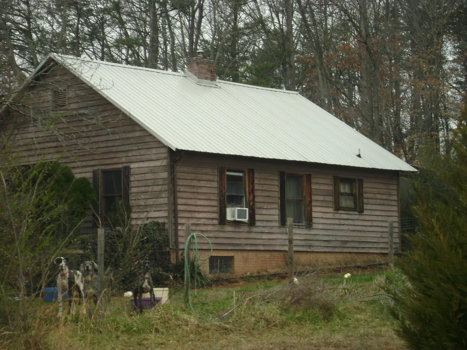 White metal roof on an old wood sided farmhouse, from a Metal Roof Installation job in Groveland